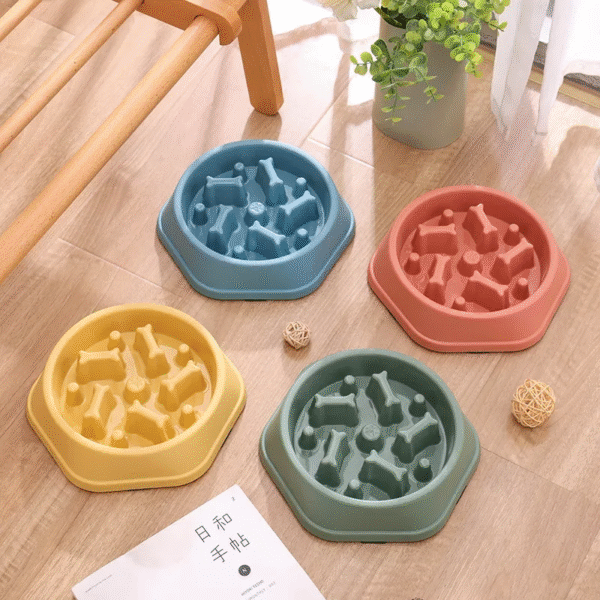 Non-slip Multiple Colors Dog Slow Food Bowl