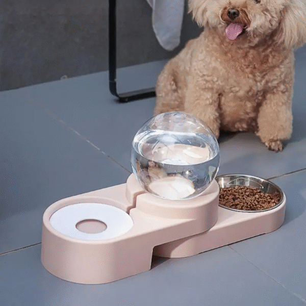 New Bubble Pet Bowls Food Automatic Feeder