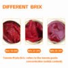 10g Double Concentrated Tomato Paste